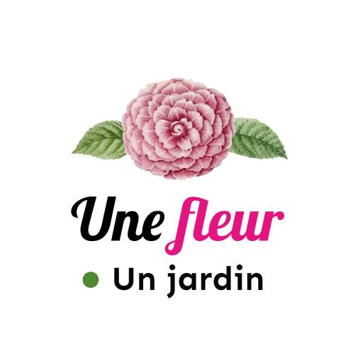 Une Fleur Un Jardin